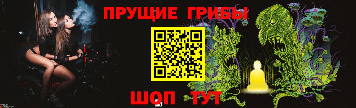 Куйбышев  Галлюциногенные грибы прущие грибы  Вход с VPN  где продают   Галлюциногенные грибы Magic Shrooms 